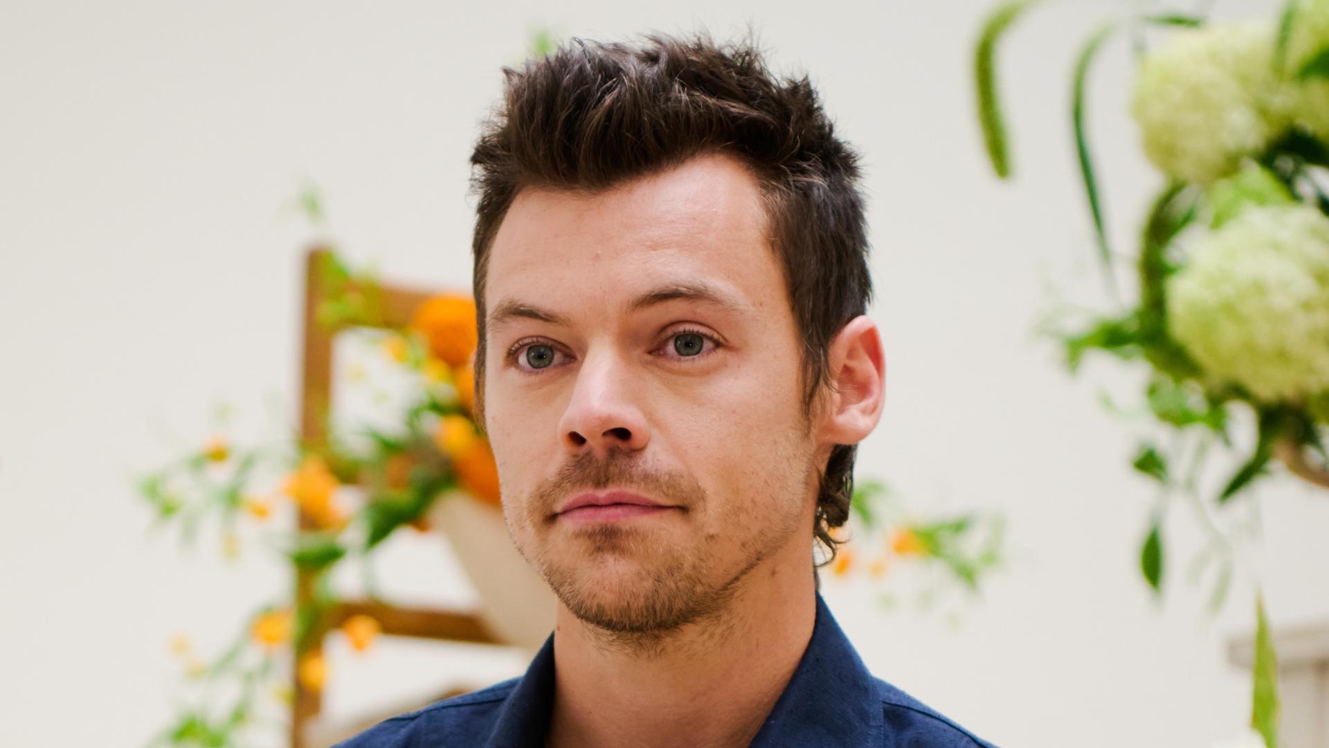 Harry Styles’ Haircut Sparks Viral Fan Reactions