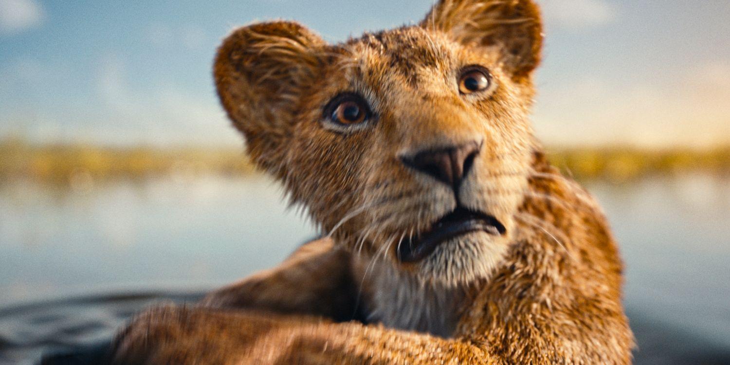‘Mufasa: The Lion King’ Trailer Divides Fans with CGI Style and Story Choices.