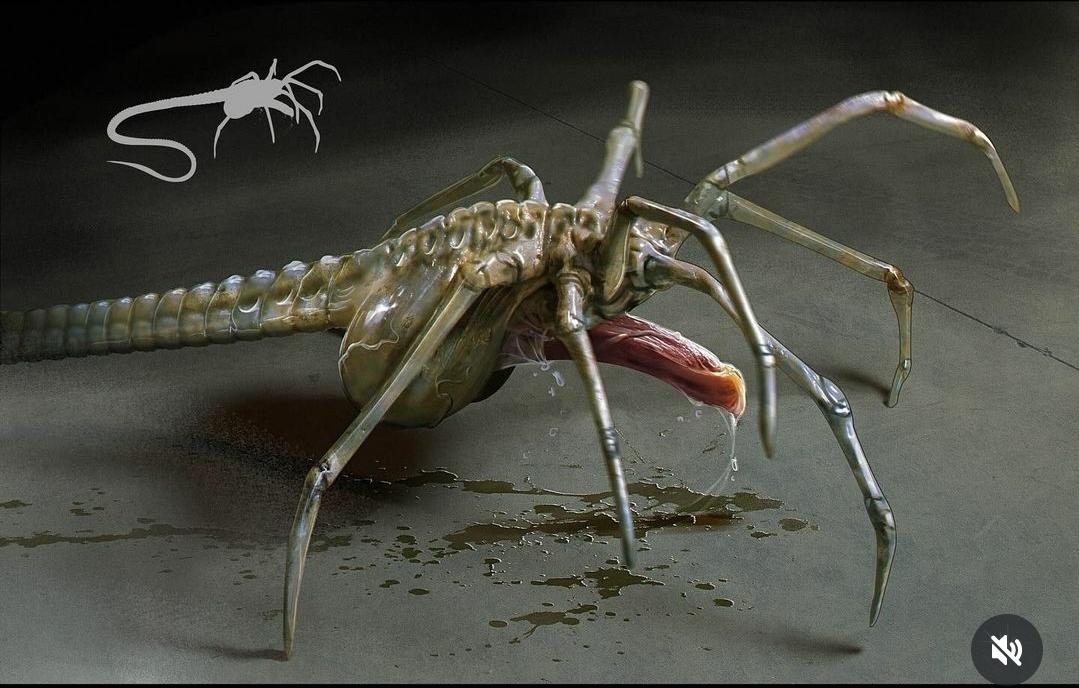 ‘Alien: Romulus’ Trailer Unleashes Terrifying New Facehuggers in Tense First Look.