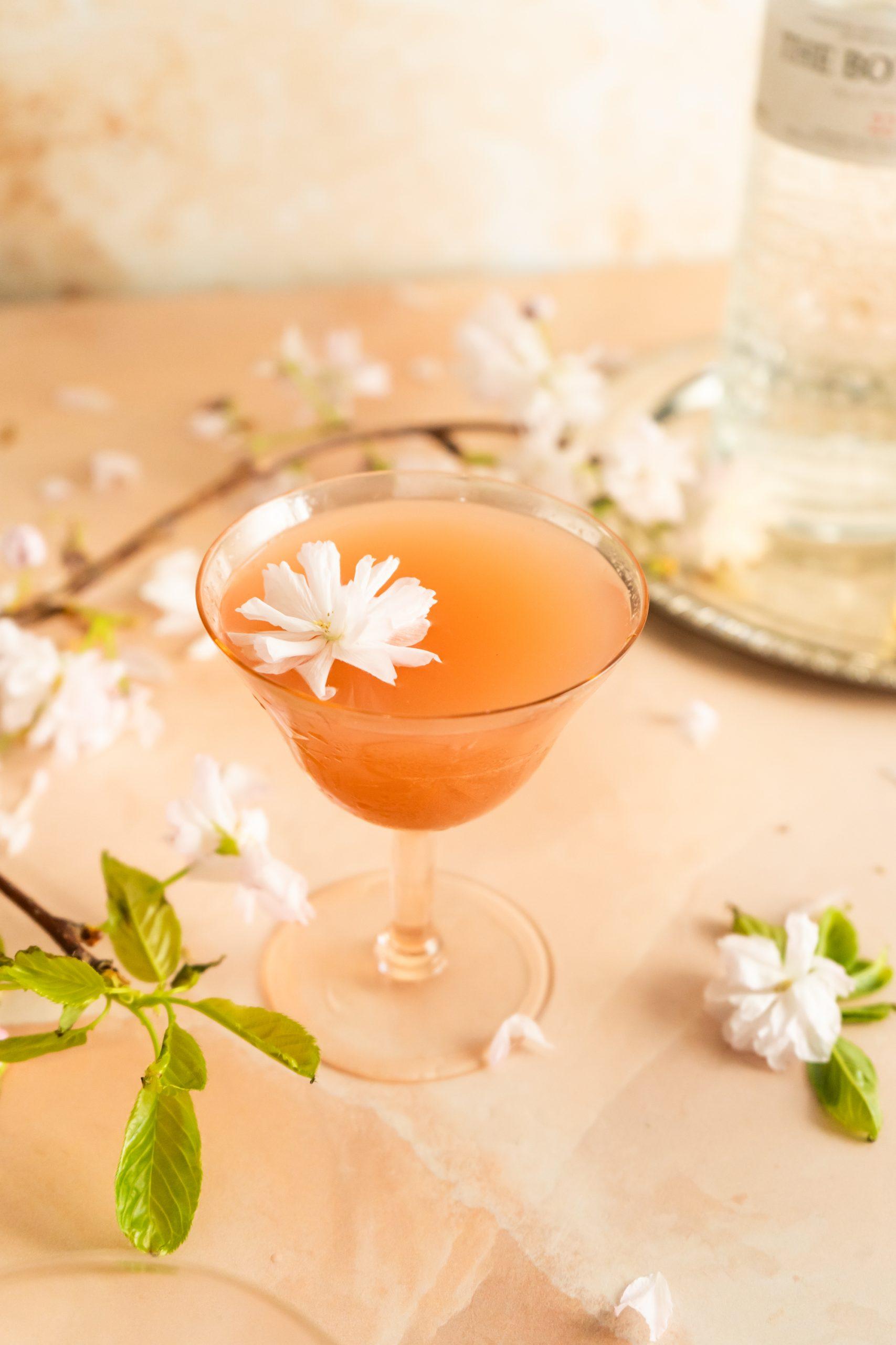Midnight Blossom Martini