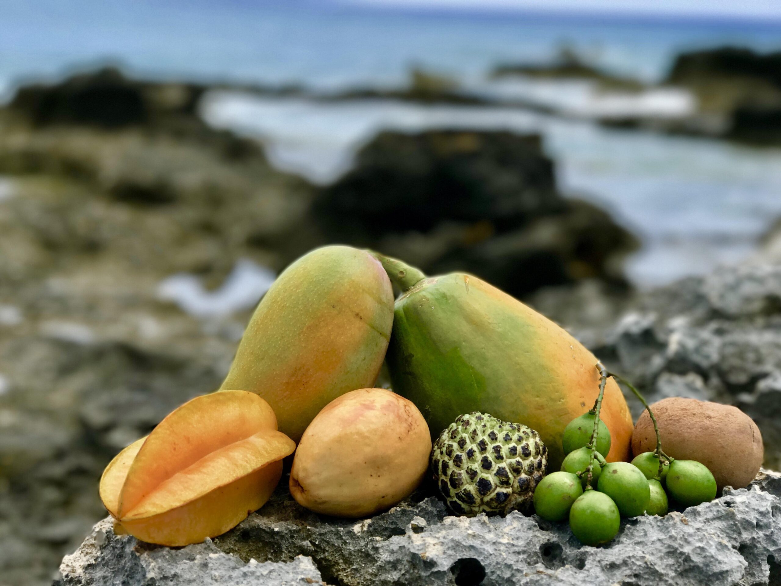 Caribbean Fruit Storm