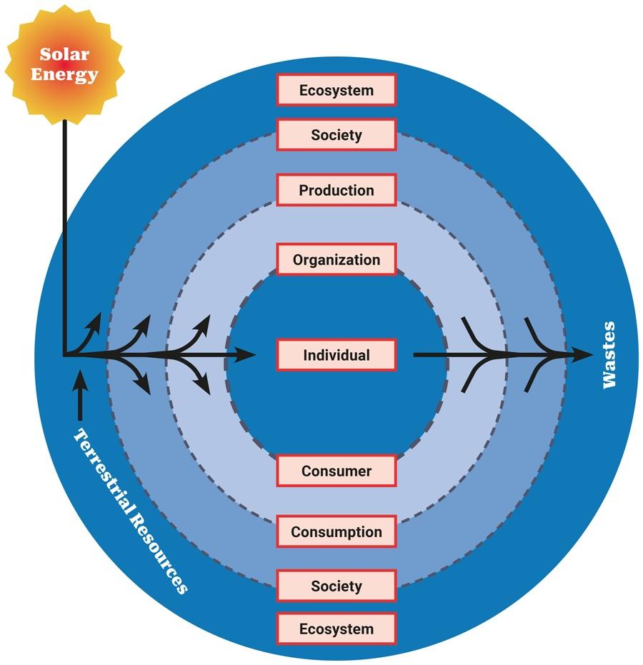 Creating a Sustainable Organization System for Long-Term Success