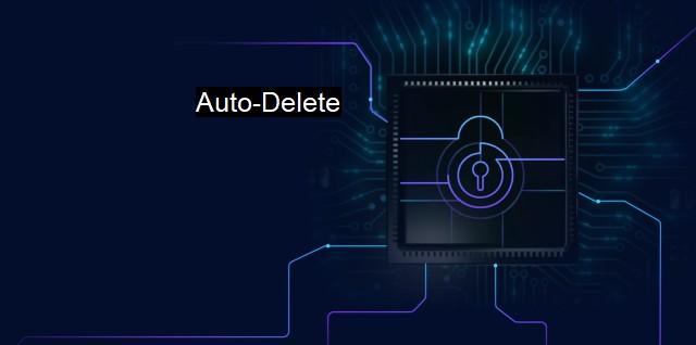 The Power of Privacy: What Auto-Delete Means for You