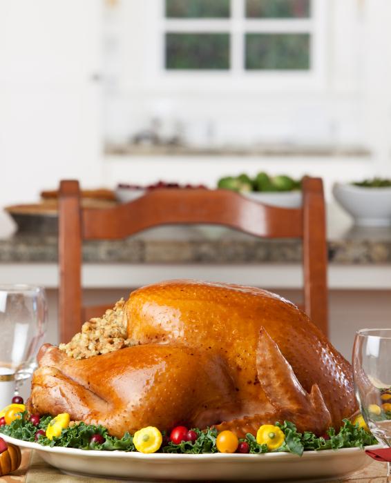 Solo Feast: Gobble Up Thanksgiving for One with Glee!