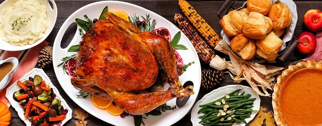 Turkey Triumphs and Mashed Potato Malarkey: Feast Your Eyes!