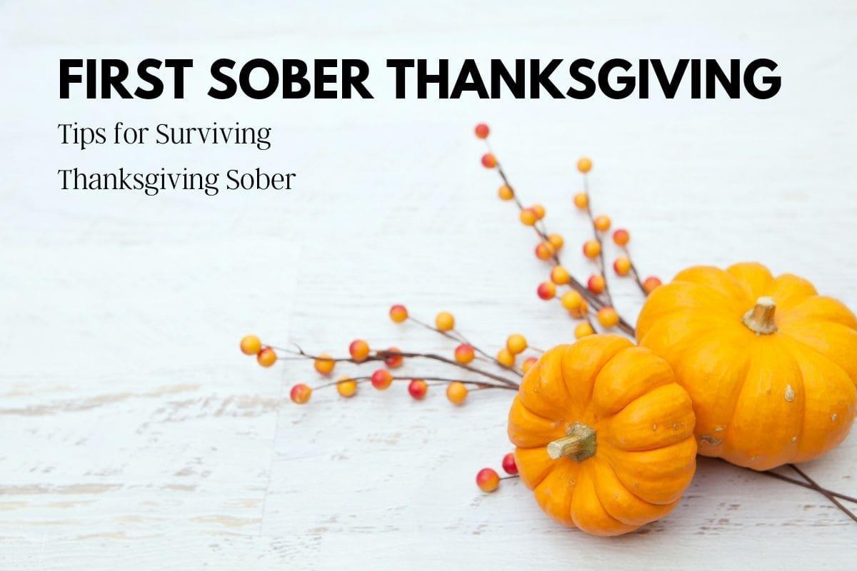 Cheers to Gobble-Free Libations: Sips for a Sober Thanksgiving!